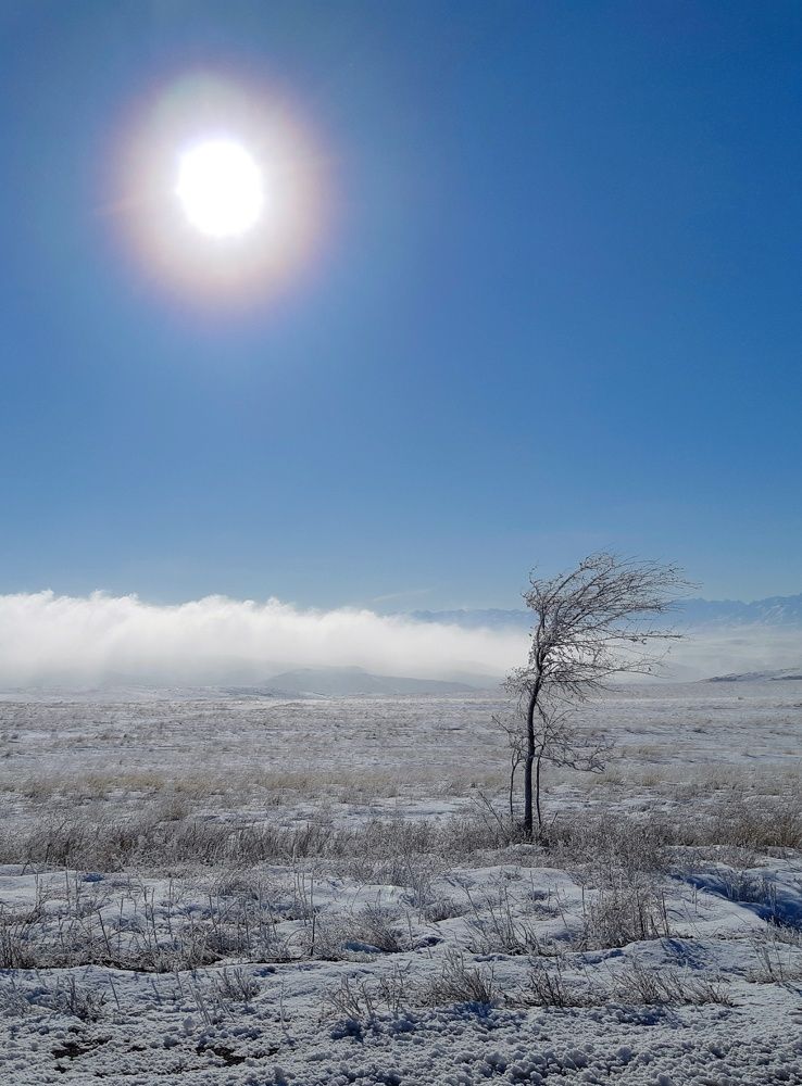 Photograph by Анна Чичилова