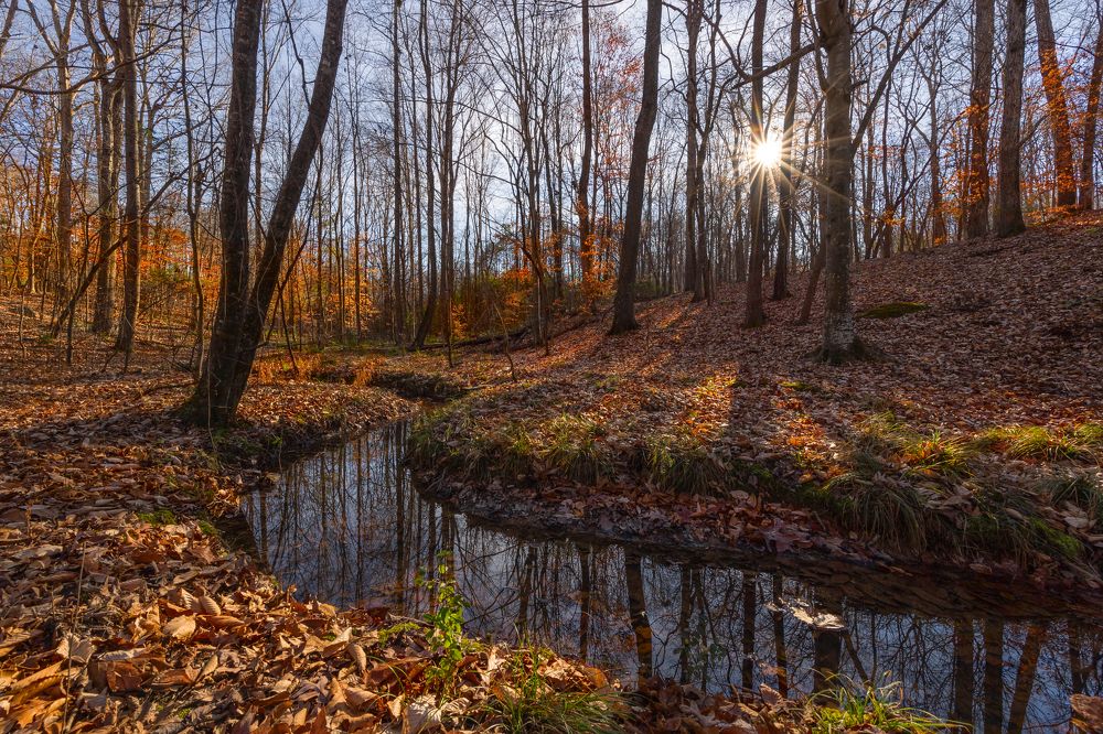Photograph by Леонид Дьяченко