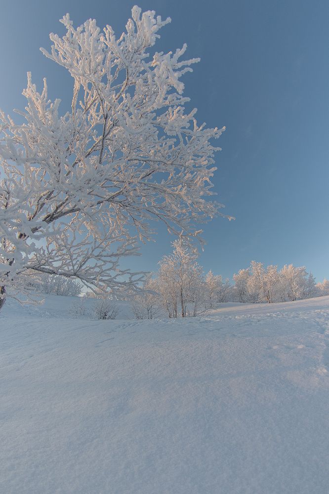 Photograph by Светлана Ржевская