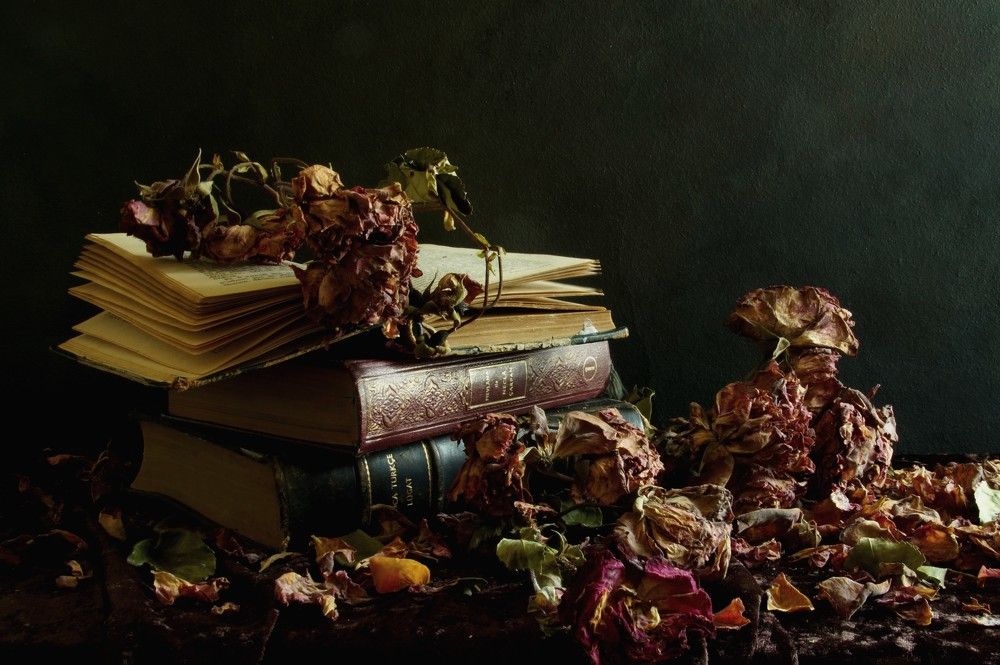 Фотография автора hilmi ayhan