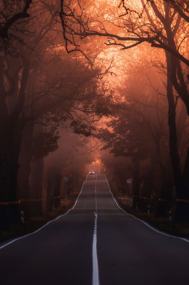 Photograph by Смоляк Максим Дмитриевич