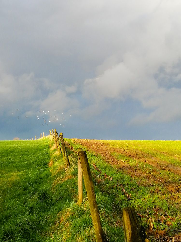 Photograph by NATACHA PERSYN