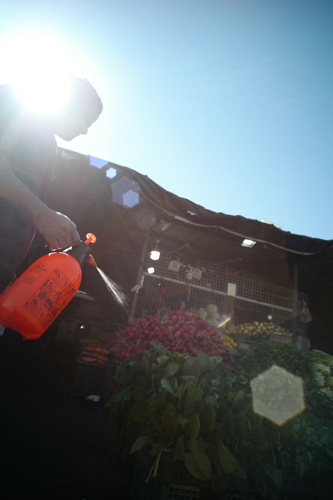 Jenin market people / Люди рынка Дженина