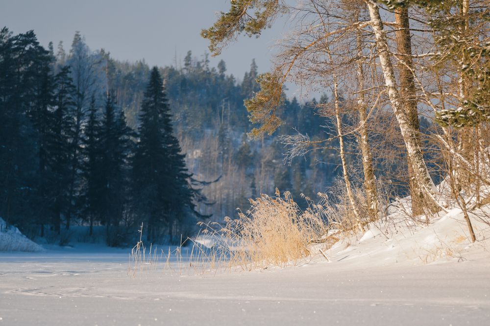 Photograph by Виталий Богачев