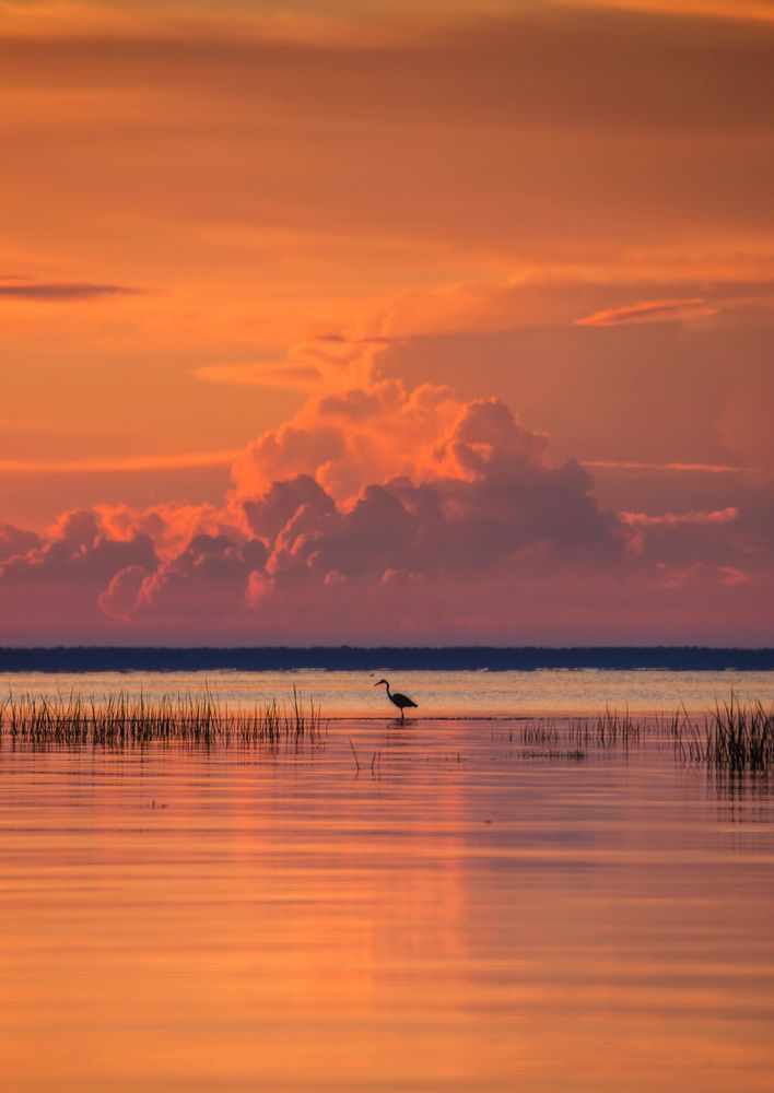 Photograph by Смоляк Максим Дмитриевич