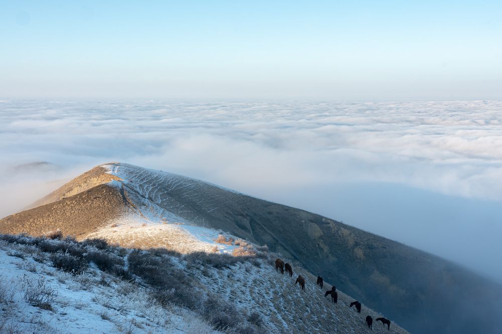 Photograph by Василий Шумкин