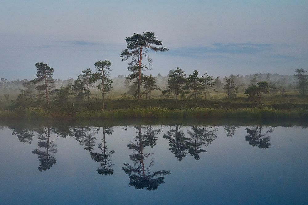 В ожидании.