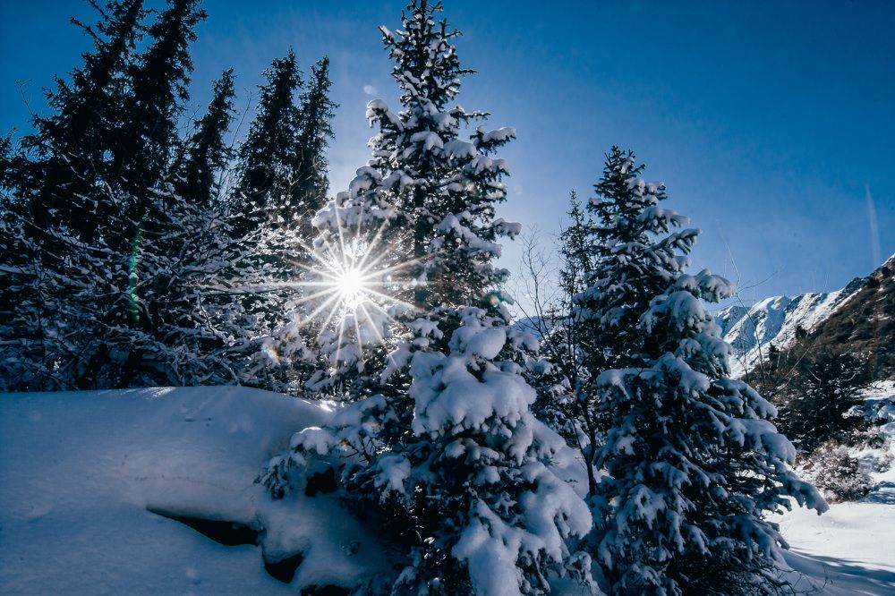 Photograph by Василий Шумкин