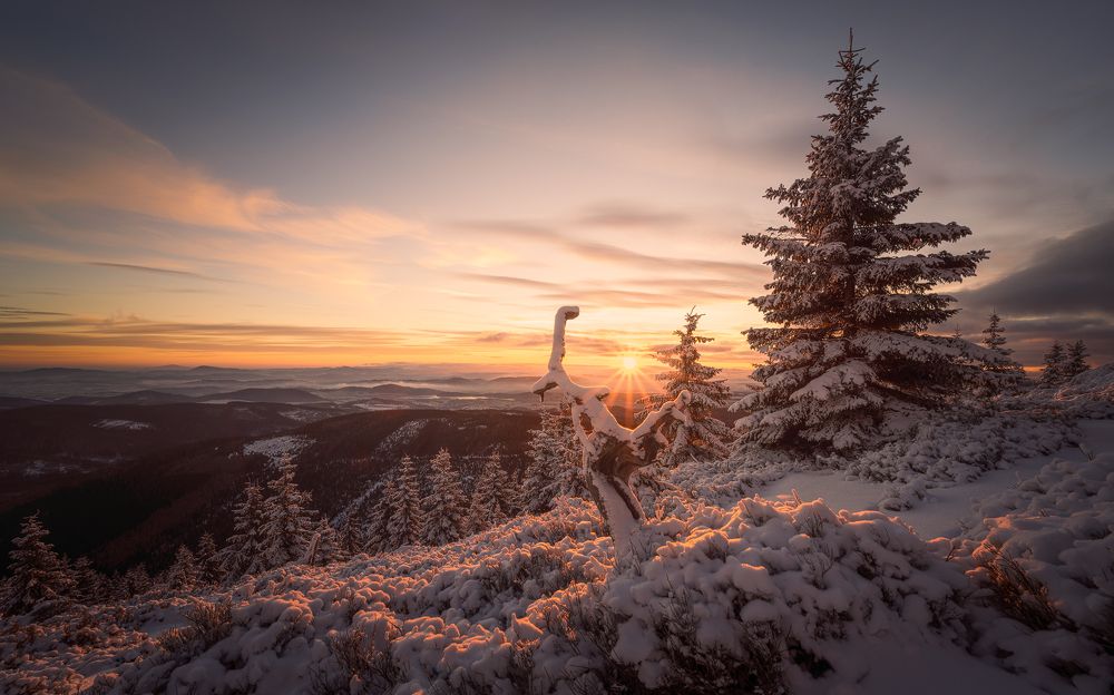 Photograph by Stanisław Baraniecki