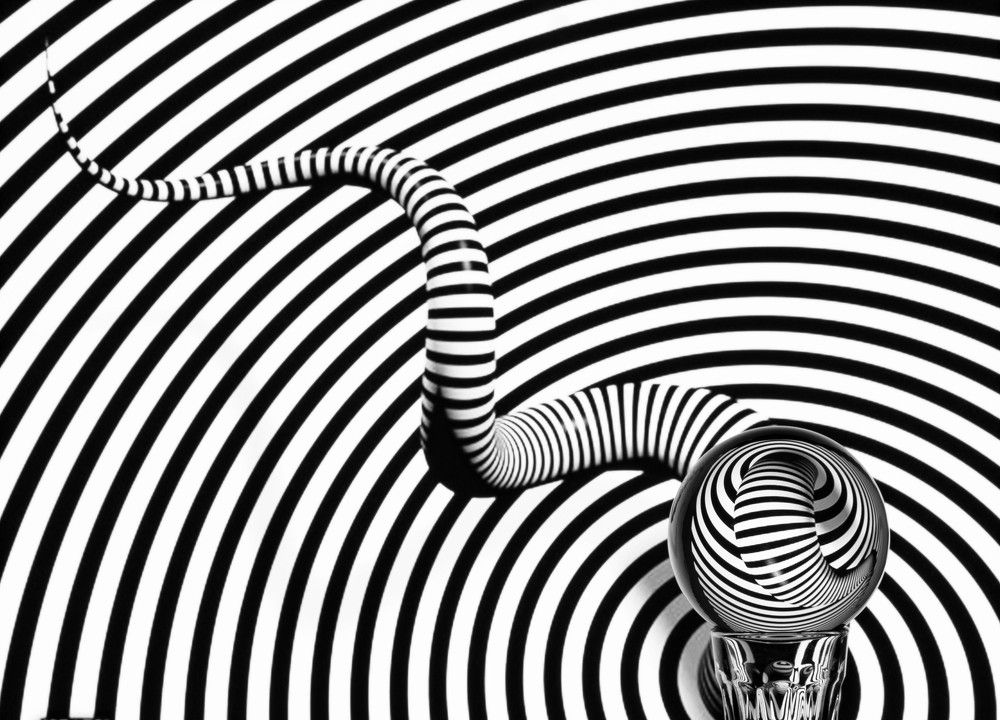 Photograph by Tamar Riabukha