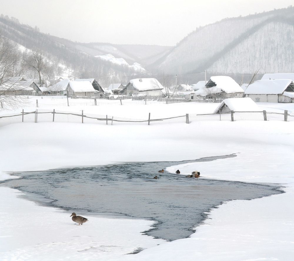 Photograph by Тамара Андреева