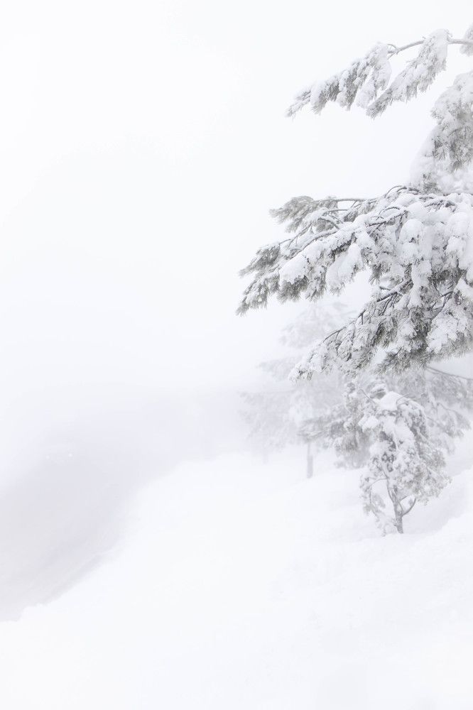 Photograph by Варвара Тюрина