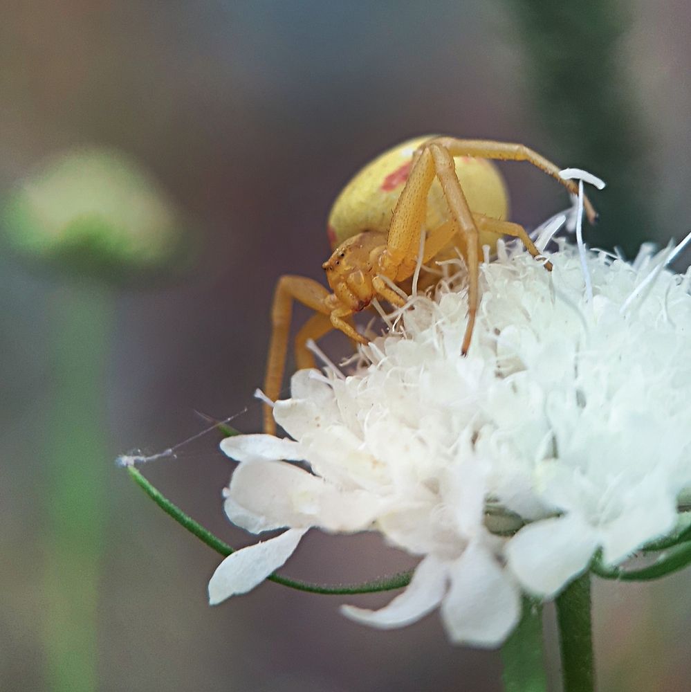 Photograph by Юлия Быкова