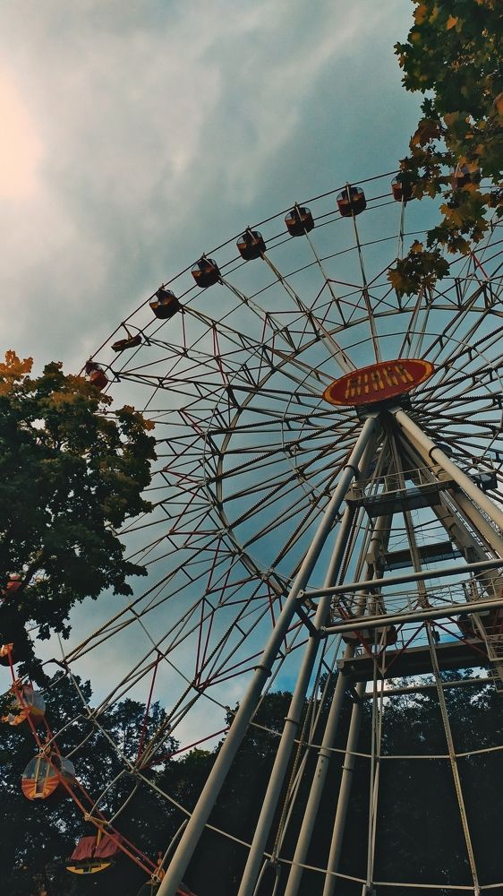 Photograph by Алина Рачковская