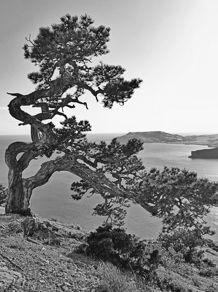 Photograph by Сергей Жигульский