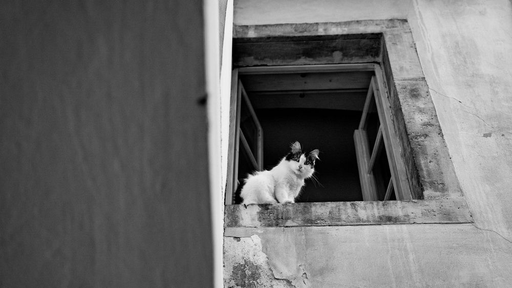 Photograph by Szabolcs Toth