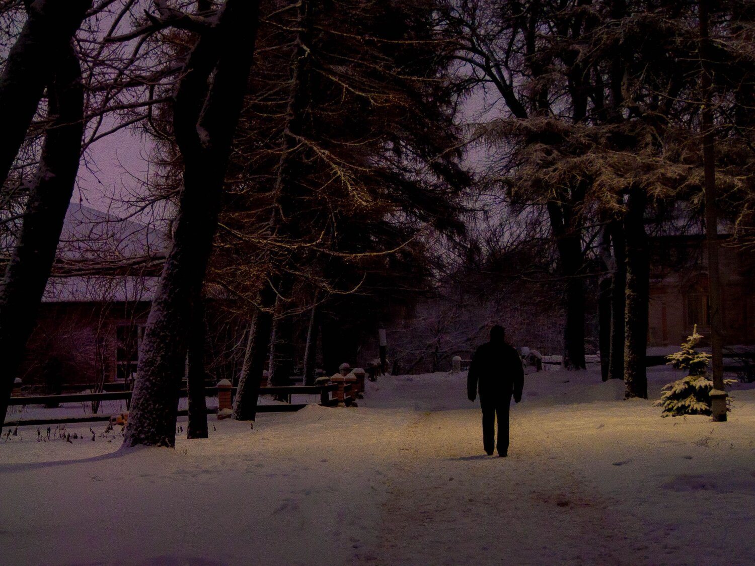 Photo #7170791