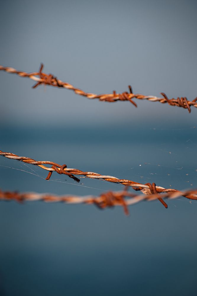 Фотография автора Arpit Dhore