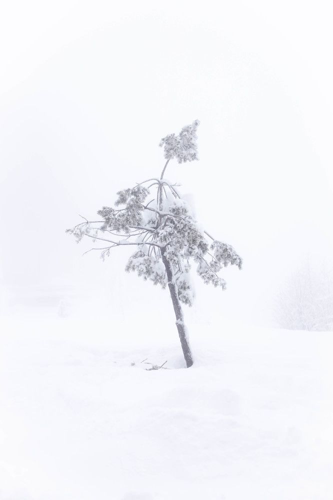 Photograph by Варвара Тюрина