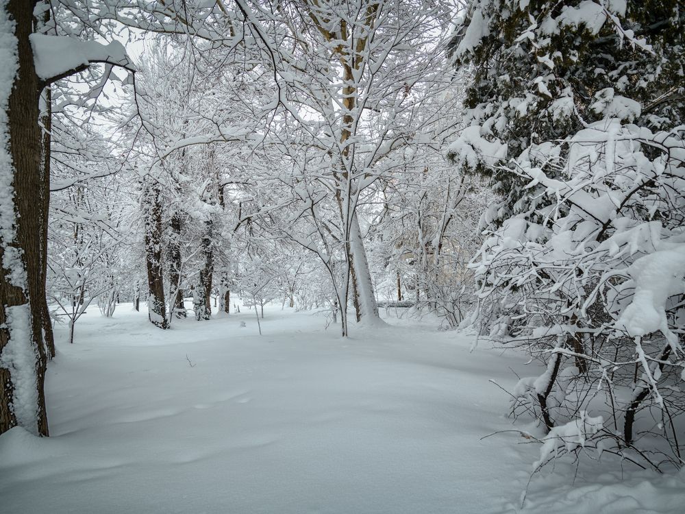 Photograph by Владимир Кваша
