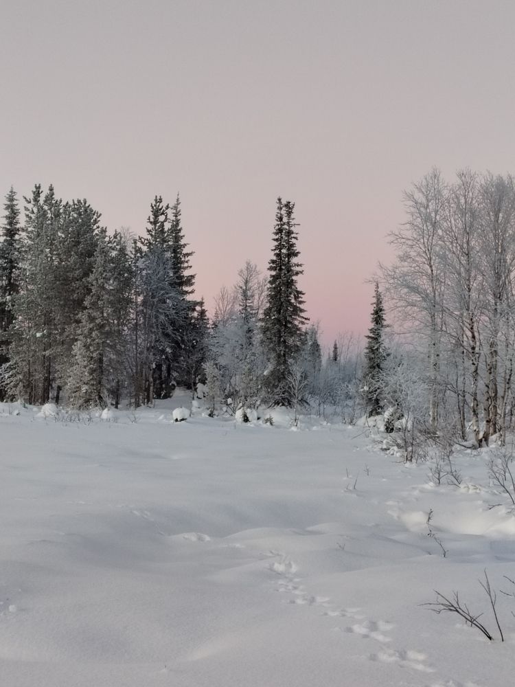 Photograph by Светлана Замятина