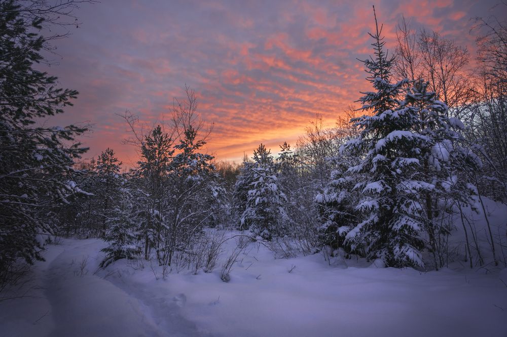 Photograph by Андрей Васильев