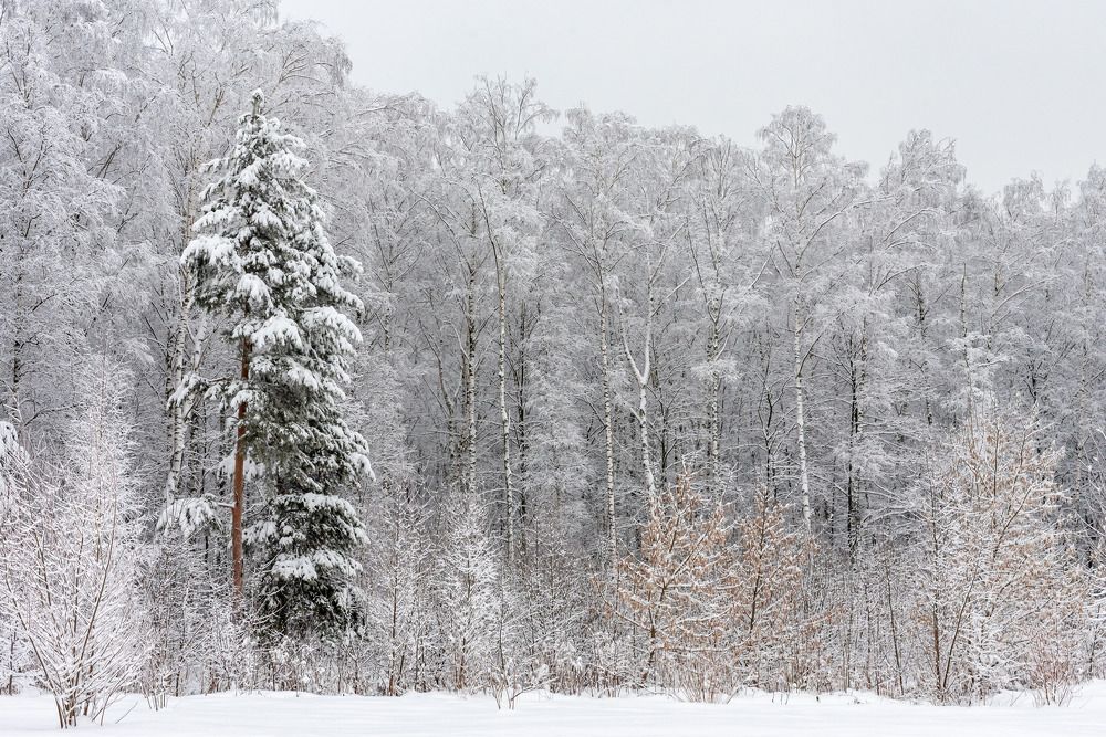 Photograph by Andrey Chernov