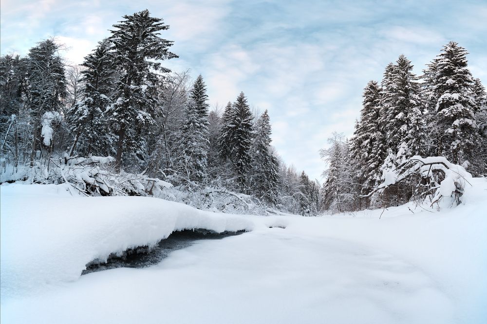 Photograph by Николай