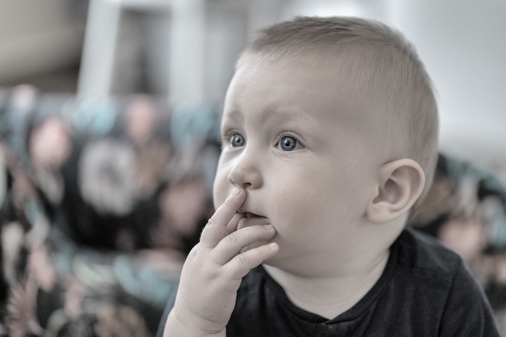 Photograph by Szabolcs Toth