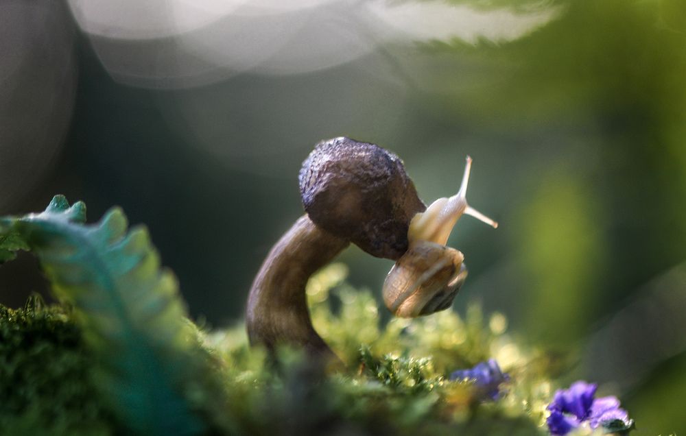 Photograph by Быканова Виктория