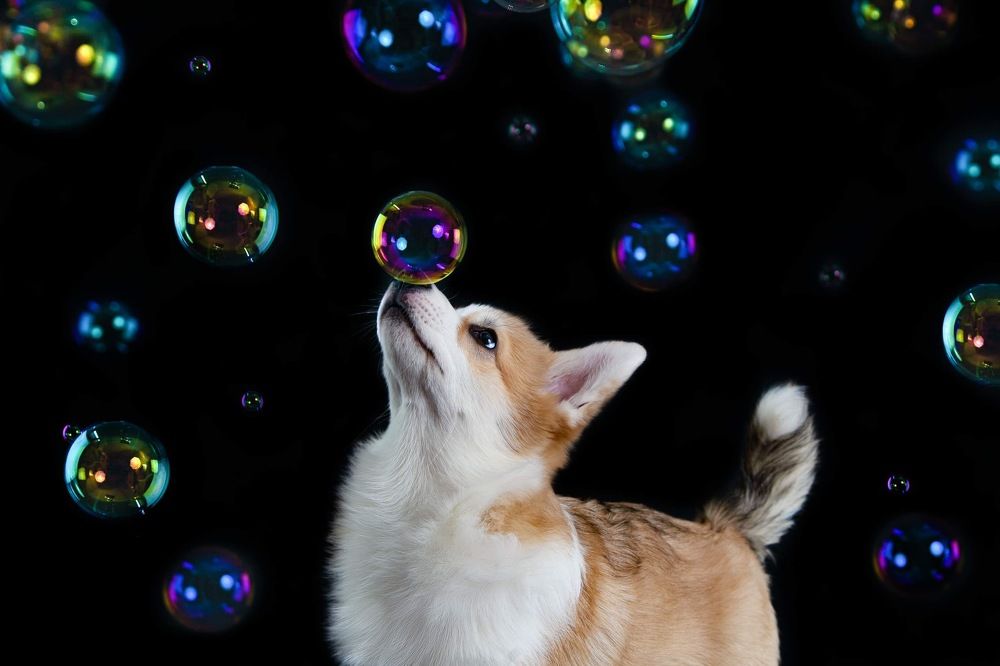 bubble on my nose