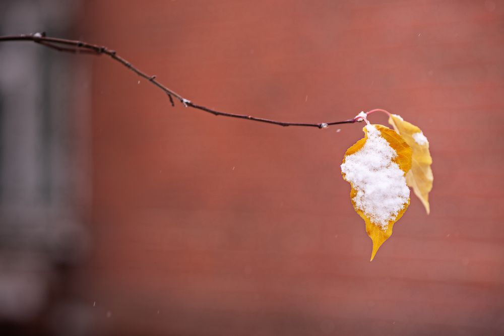 Photograph by Юлия Руденко