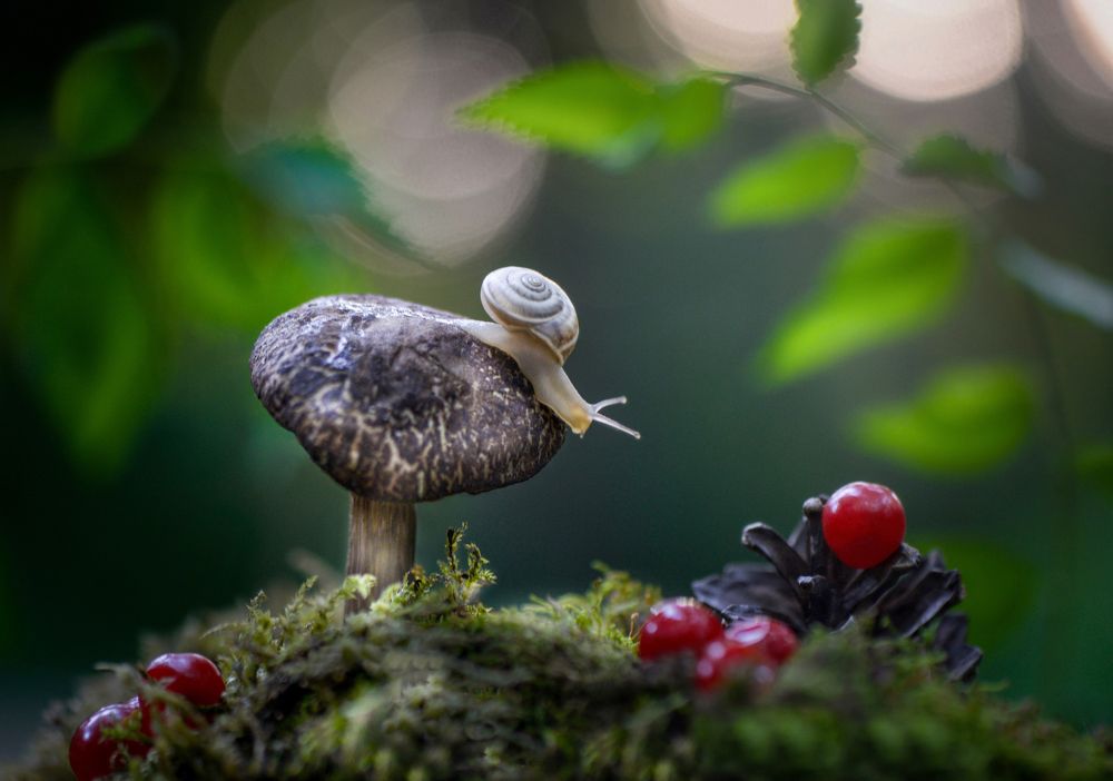 Photograph by Быканова Виктория