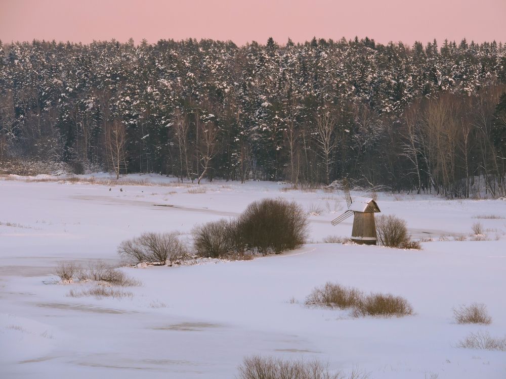 Photograph by Александра