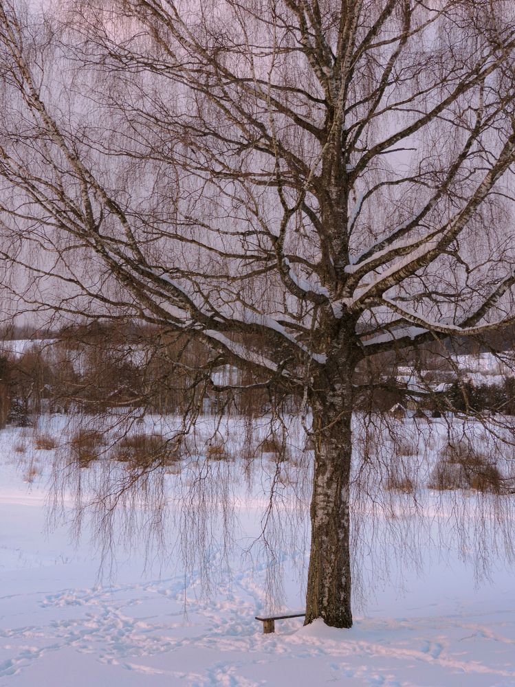 Photograph by Александра