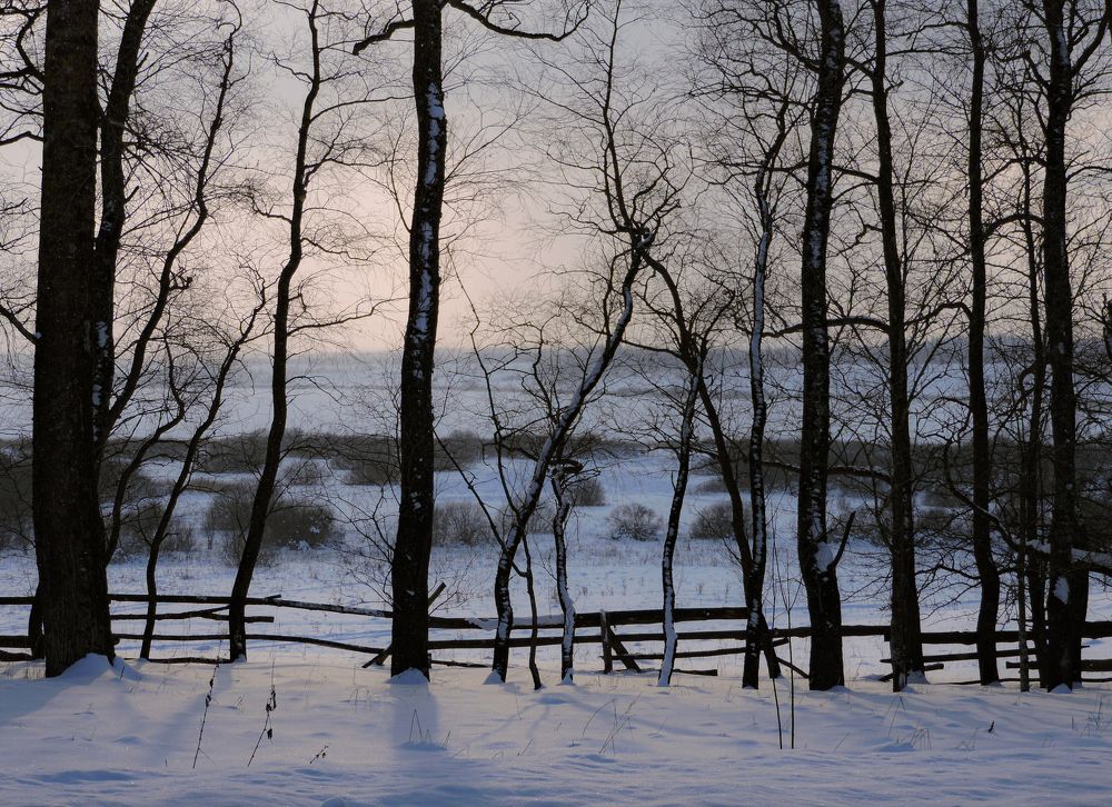 Photograph by Александра