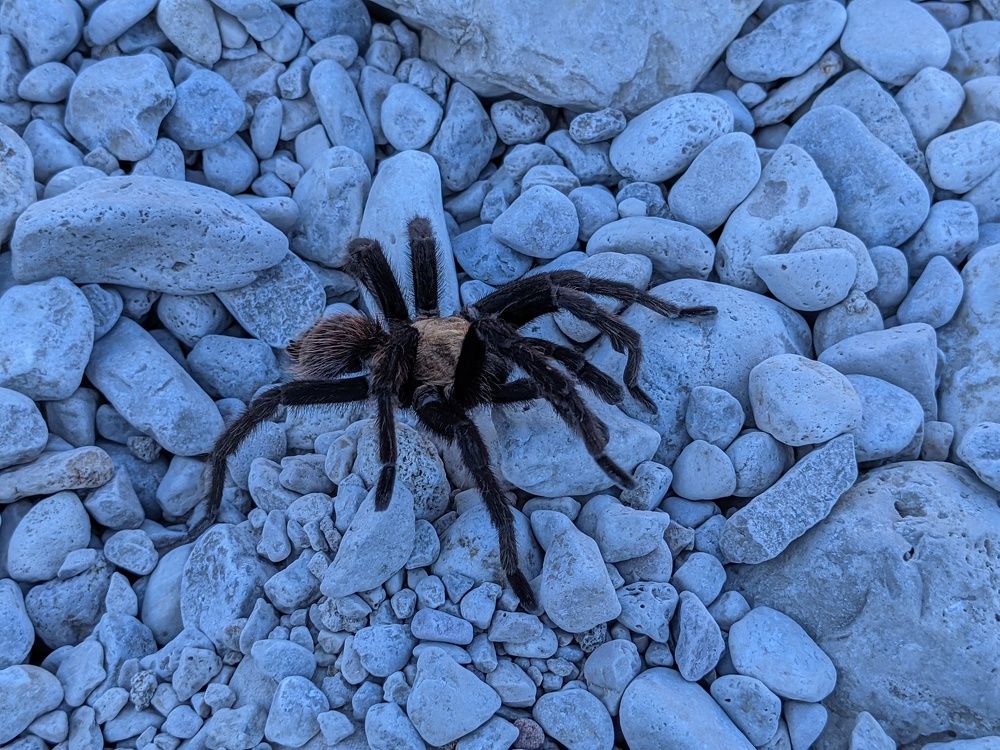 Фотография автора Connor Morrow