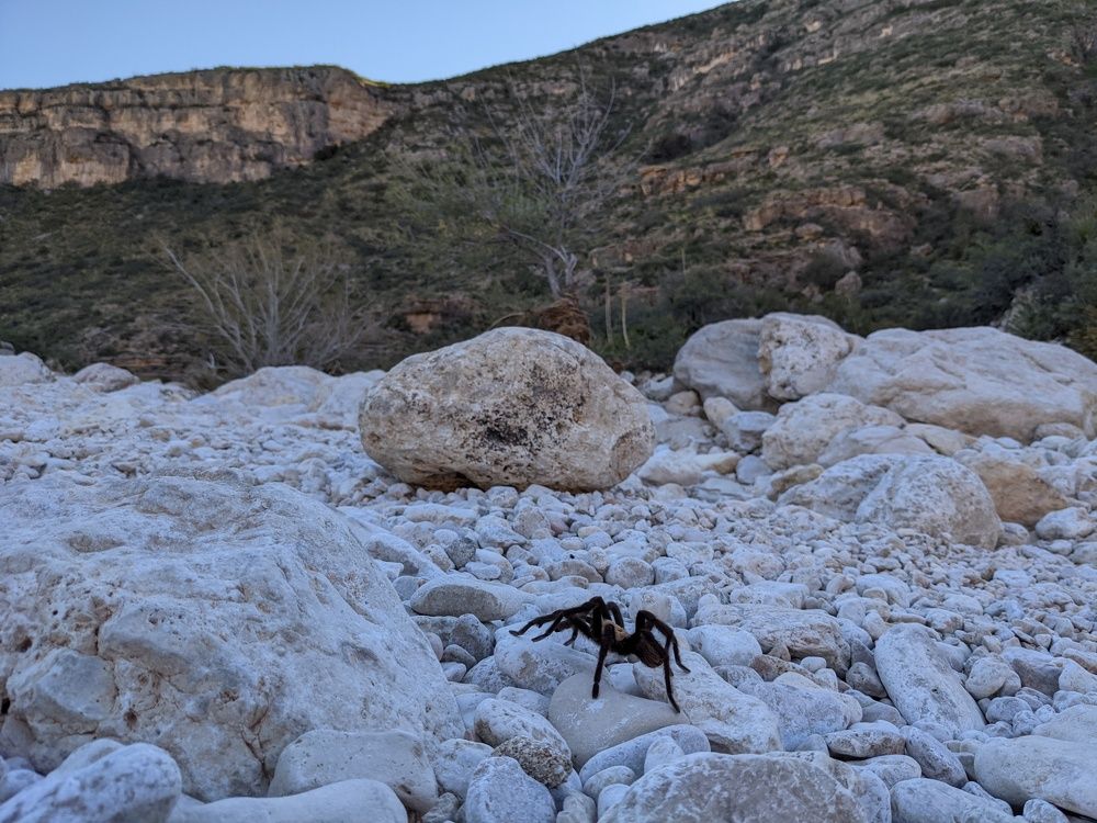 Фотография автора Connor Morrow