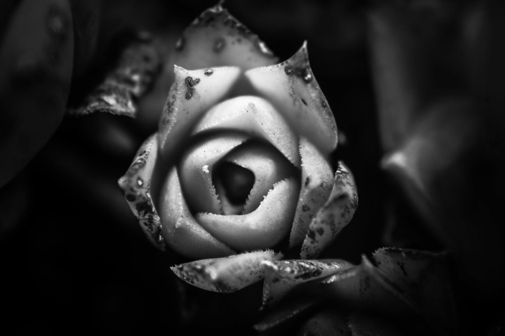 Photograph by Marilu Coetzee