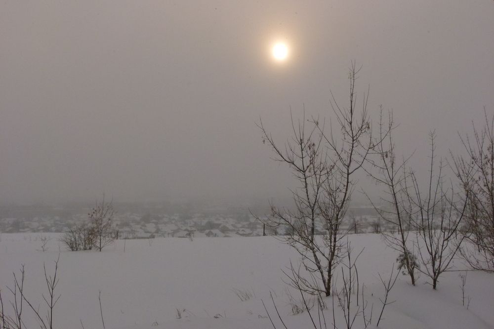 Photo #7171165