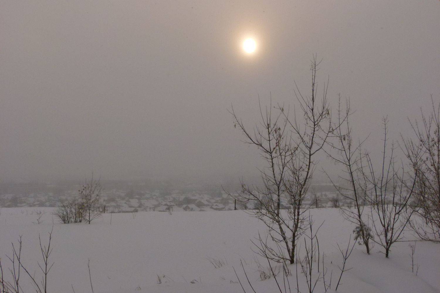 Photo #7171165
