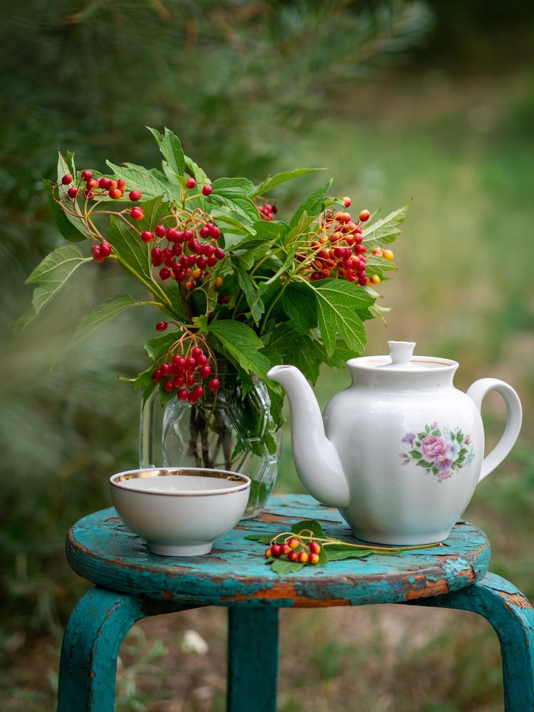 Photograph by Маргарита Ивкова