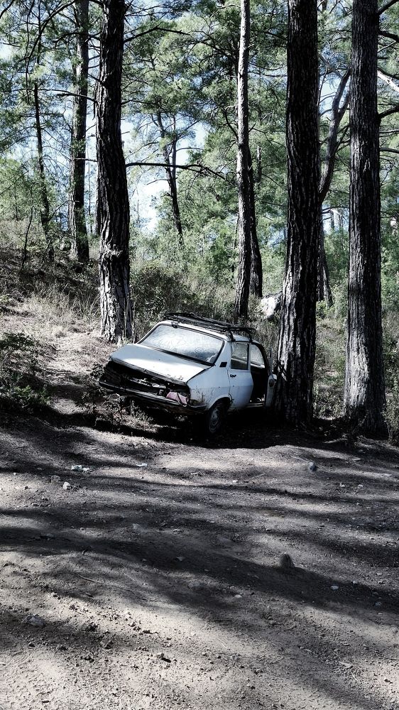 Photograph by Алина Рачковская