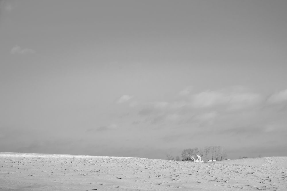 Photograph by Константин шумский