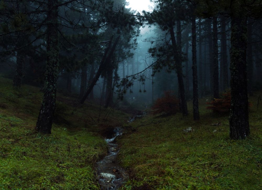 Photograph by Stavros