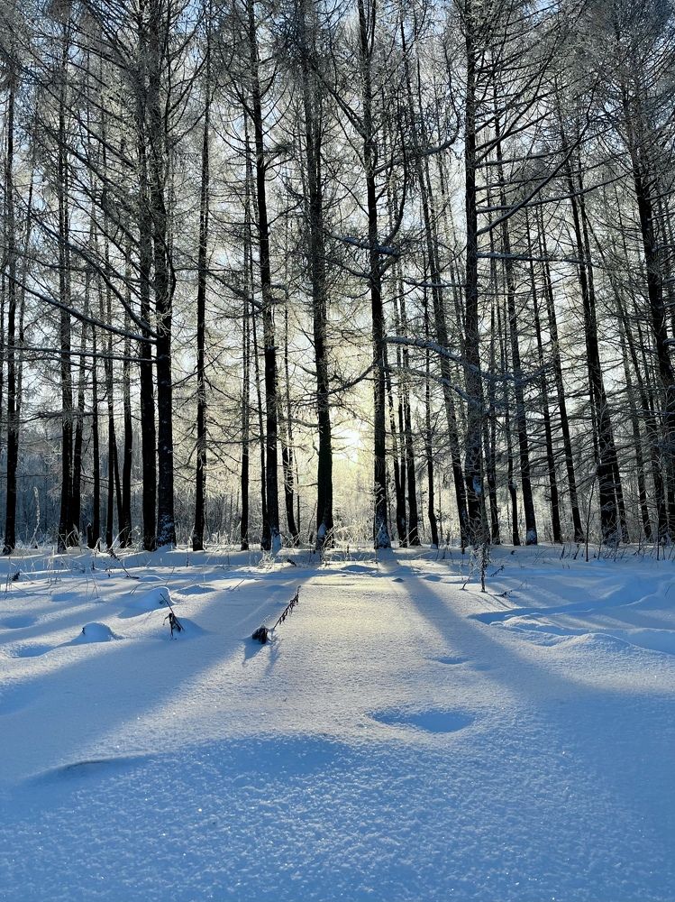 Photograph by Екатерина