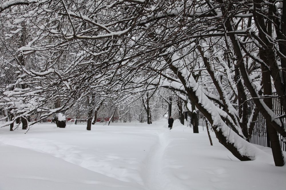 Photograph by Анастасия Занадворова