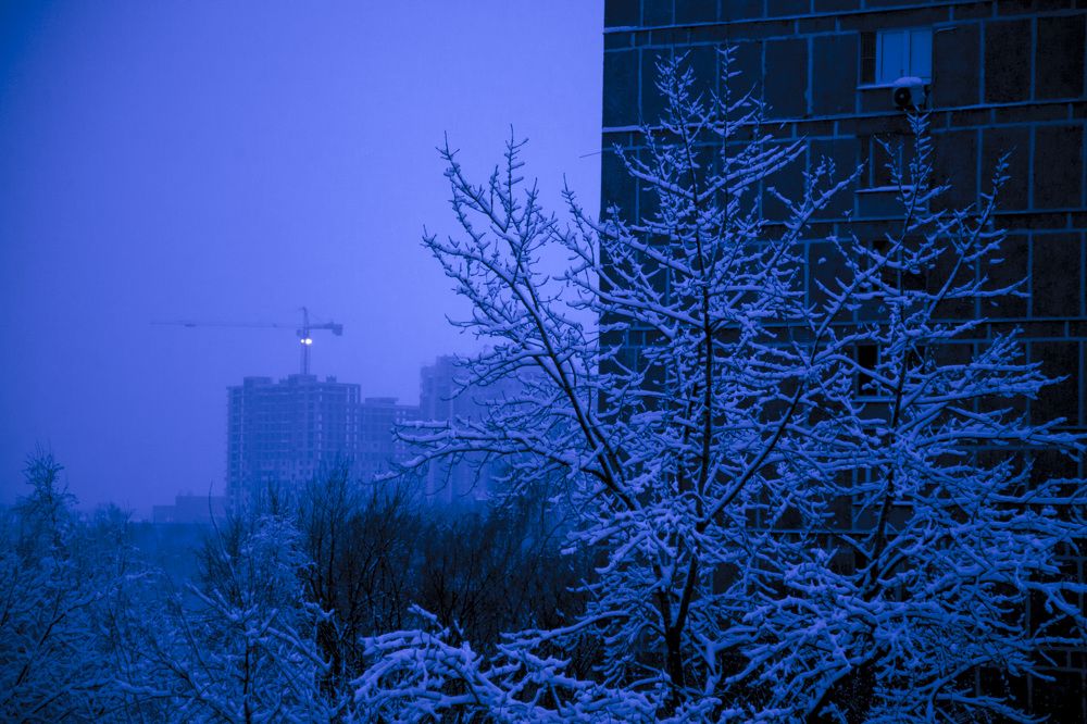 Photograph by Анастасия Занадворова