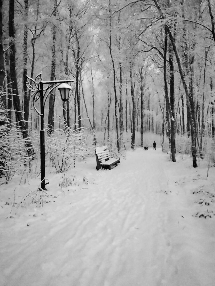 Photograph by Крылов Владимир