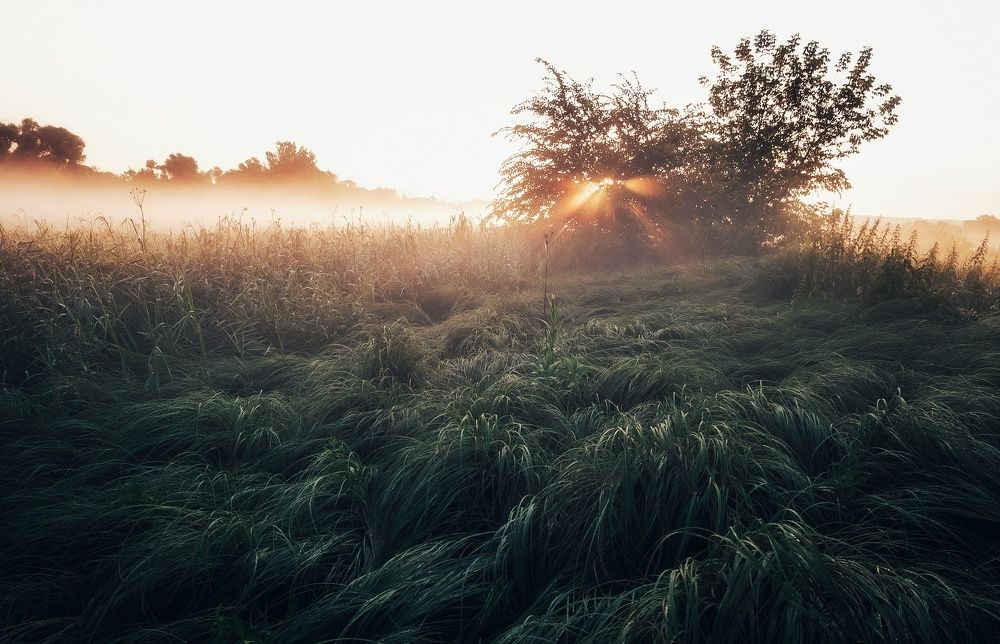 Photograph by Людмила Мельтишинова